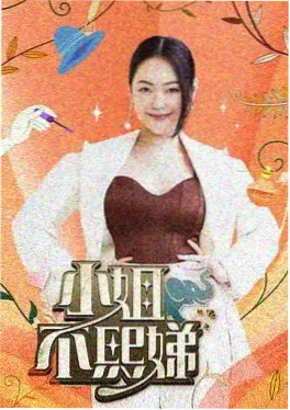 岛屿日记 - 综艺 - 2026